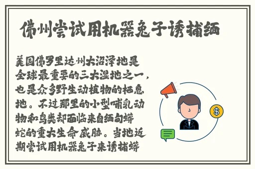 密桃成熟时2